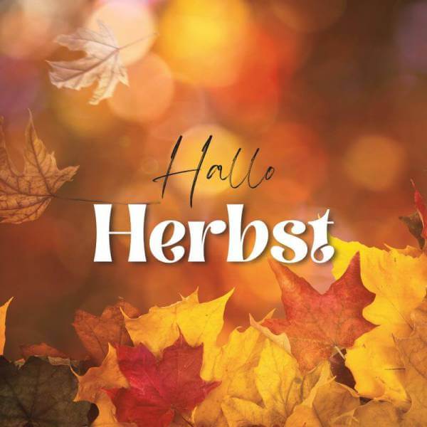 Blogbanner-SW5-Herbst